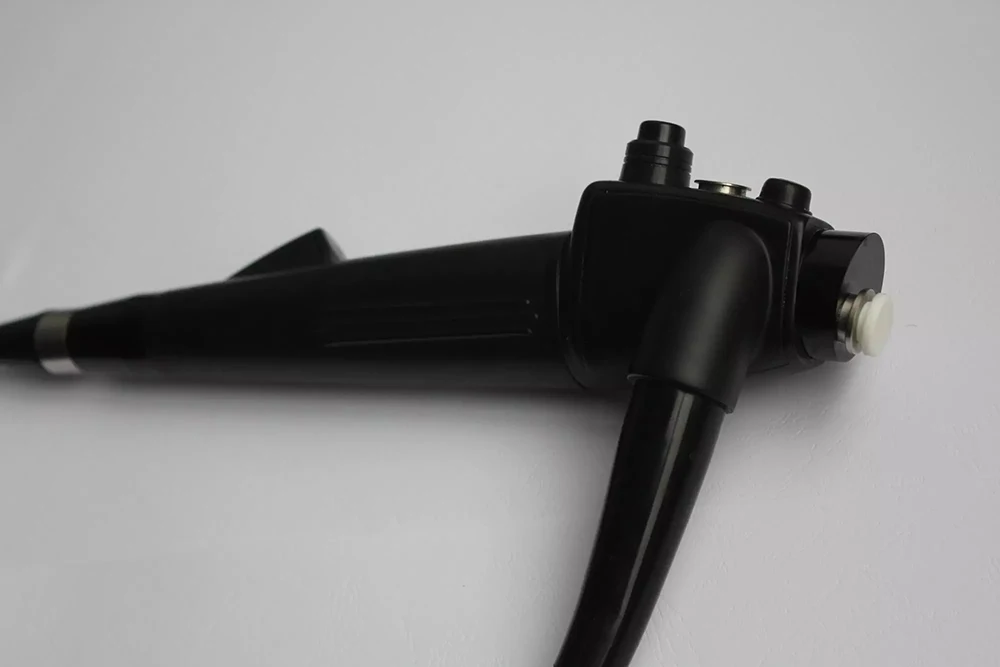 USB option video gastro-colonoscope for horse