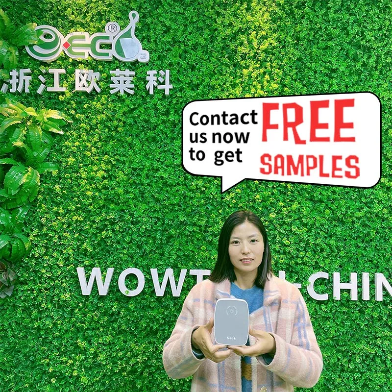 portable mini ozonator houseware aionic 220v air cleaner purifyer homes 2021 home use air purifier for bed room