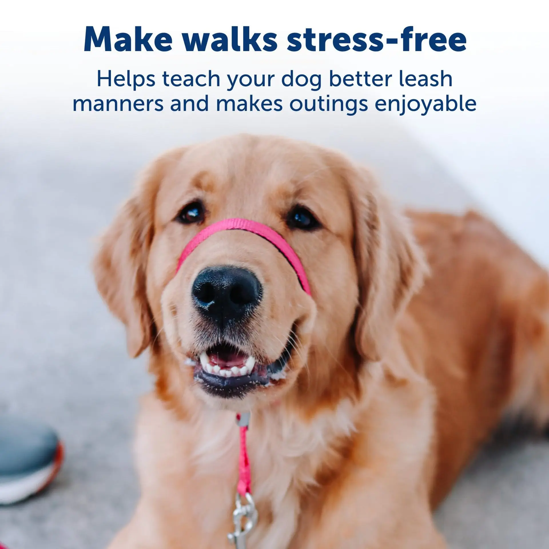 Wholesale Dog Muzzle Gentle Leader No-Pull Dog Headcollar Adjustable Anti-Barking Biting Dog Leash and Muzzle