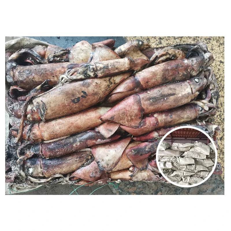 Прямая продажа с завода, замороженный цельный черный кальмар по лучшей цене
