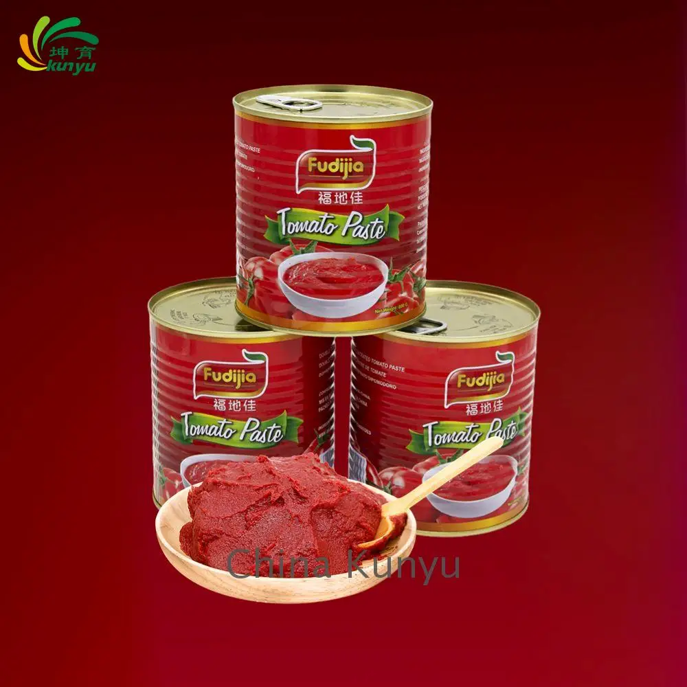 Kunyu Canned food tomato paste price cheap tin tomato sauce in drum easy open from factory  70g 210g 400g 2200g