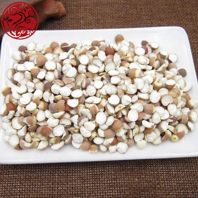 
whole gorgon fruit Qian shi dried botanicals herbs 