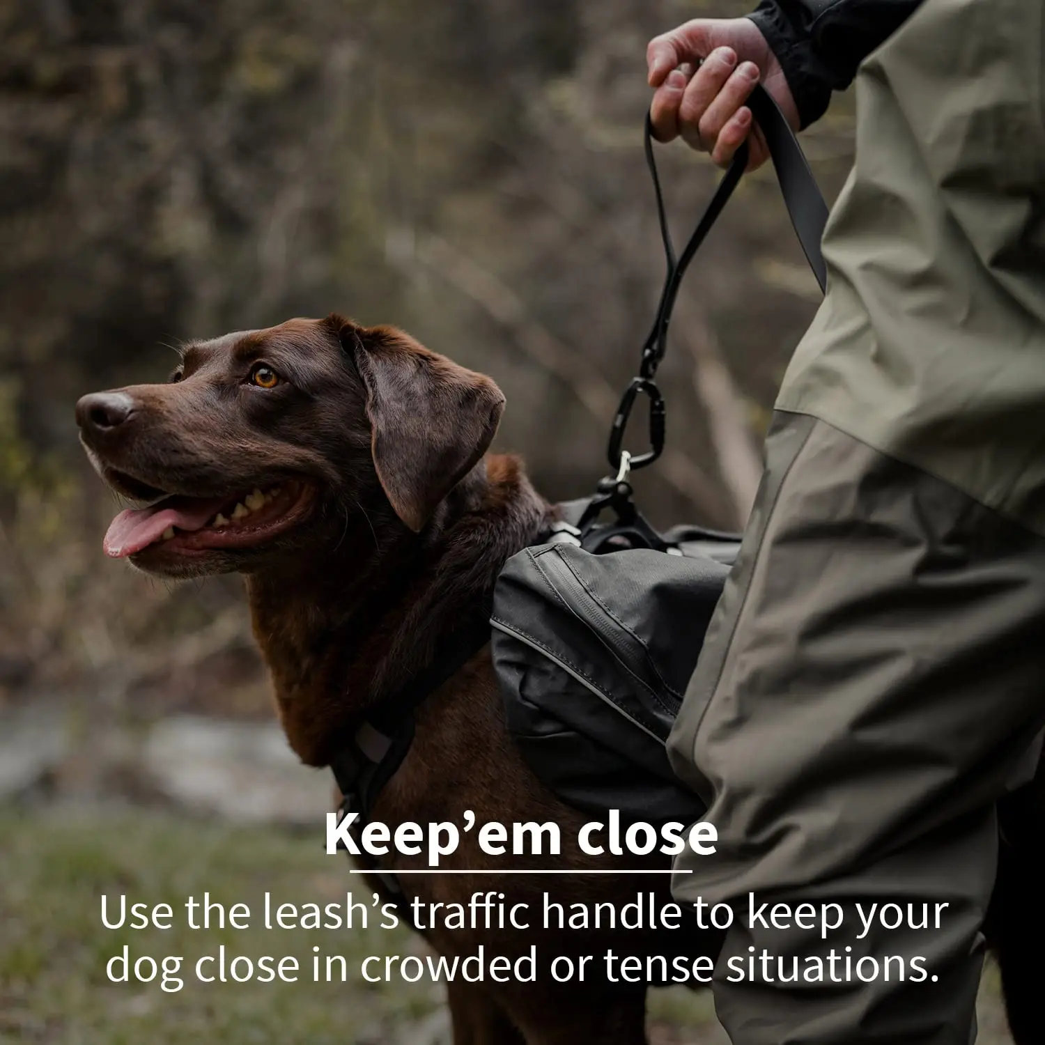 Custom Logo Luxury Rubber Pet Dog Lead Waterproof Dog Leash For Small Medium Large Dog Puppy