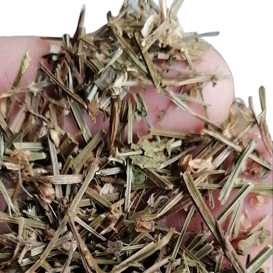 Продажа оптом сушеных натуральных диких порезов Scutellaria barbata Ban zhi lian
