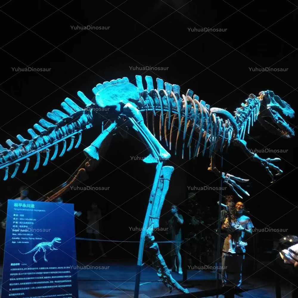 dinosaur fossil dinosaur skeleton for dinosaur theme park decoration