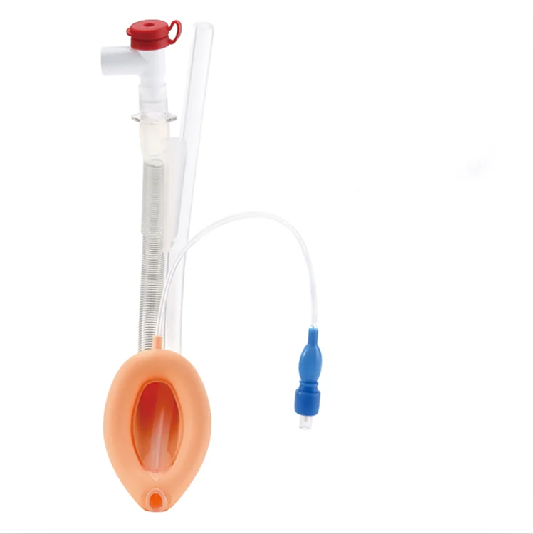 
Medical Disposable Silicone Double Lumen Laryngeal Mask Airway Size 3 For Surgery 