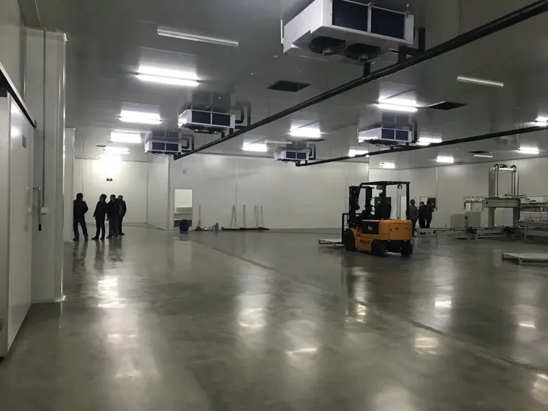 High Efficient Customized Industrial Seafood Cold Room Manufacturer