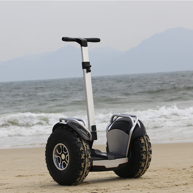 OEM 2 Wheels 20inch wheel Self Balancing Electric electric scooters powerful adult for sale 1500W*2dual motor