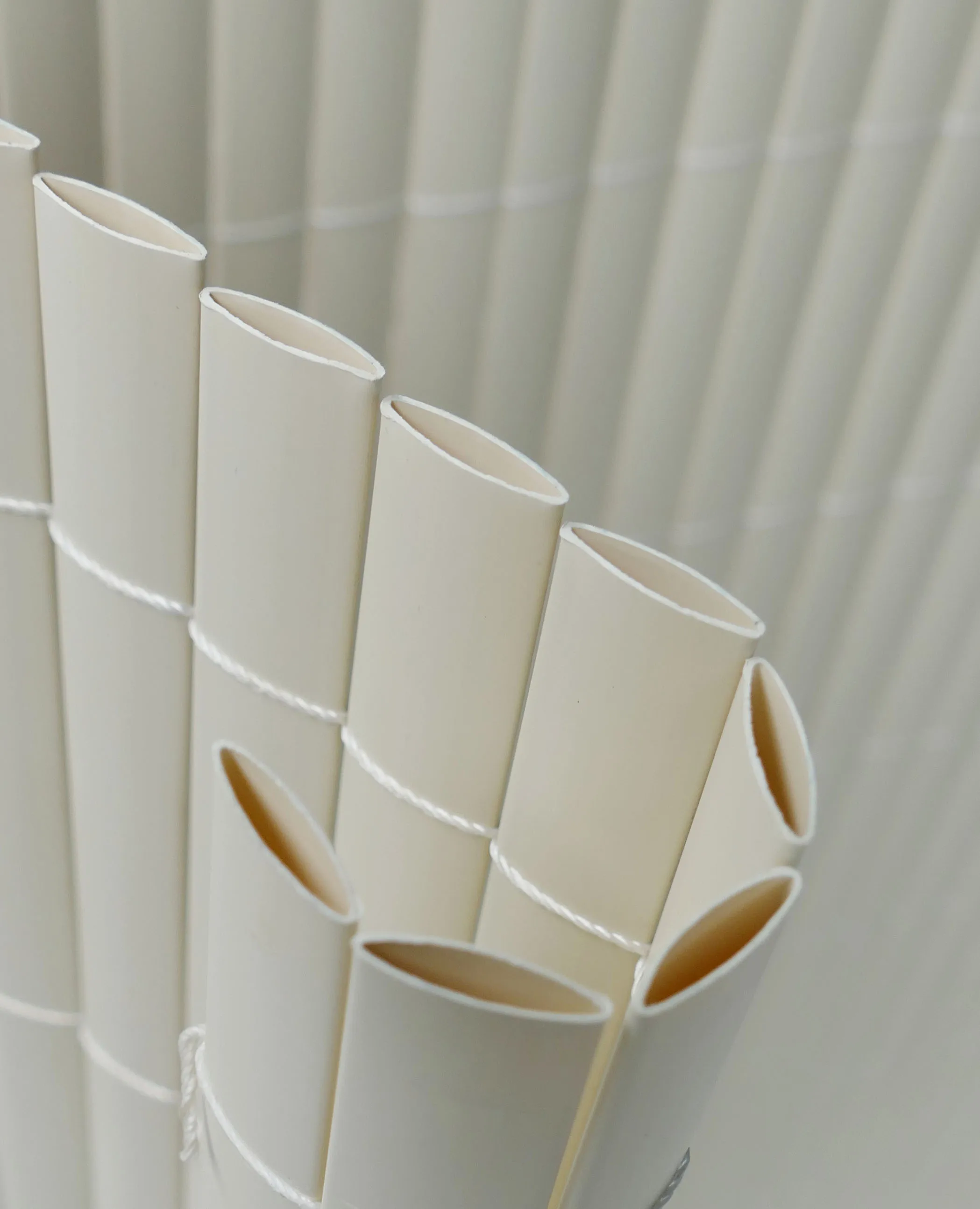 Colored plastic fence