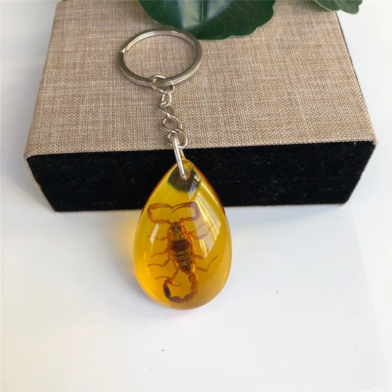 New real insect specimen hornet amber car bag pendant small gift crystal keychain