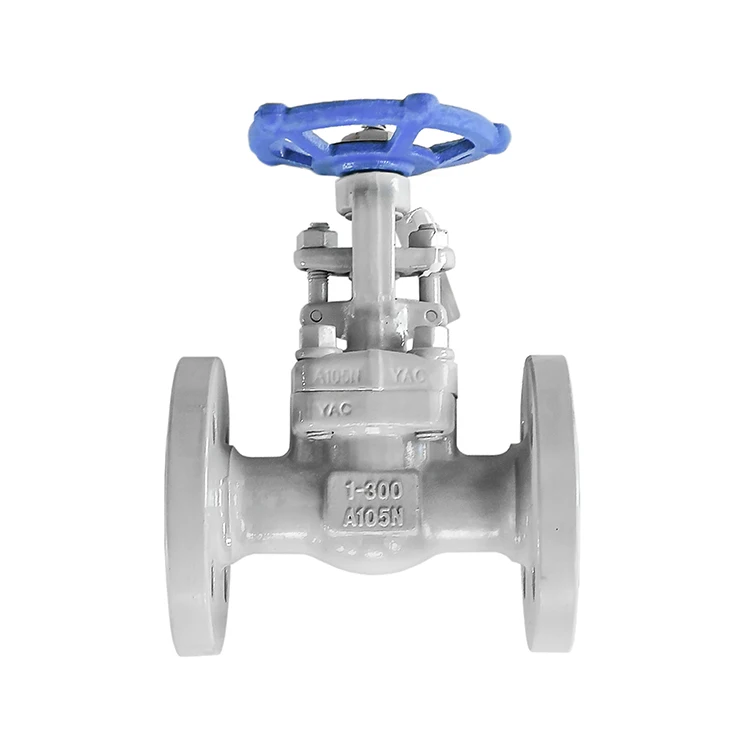 
Integral forged flange gate valve oil free and degreasing gate valve 
