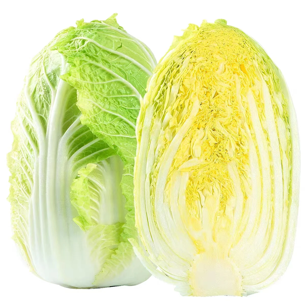 Fresh pesticide free green cabbage