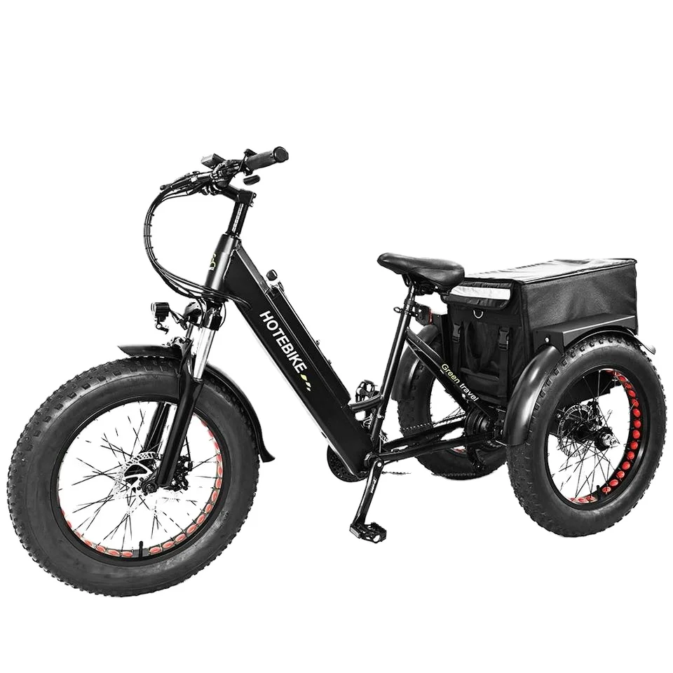 20 Inch Electric Trike Fat Tire 3 Wheel Electric Tricycle Three Wheels Adult 500W Cargo Electric Tricycle with Basket