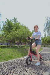 C1Mini Lightweight Cheap Price ebike  36V 350W 12inch Folding Electric bicycle C1 e bike