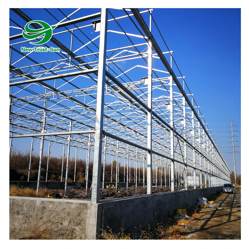 
Greenhouse kits material steel frames used for agriculture from green house frames structure Manufacture 