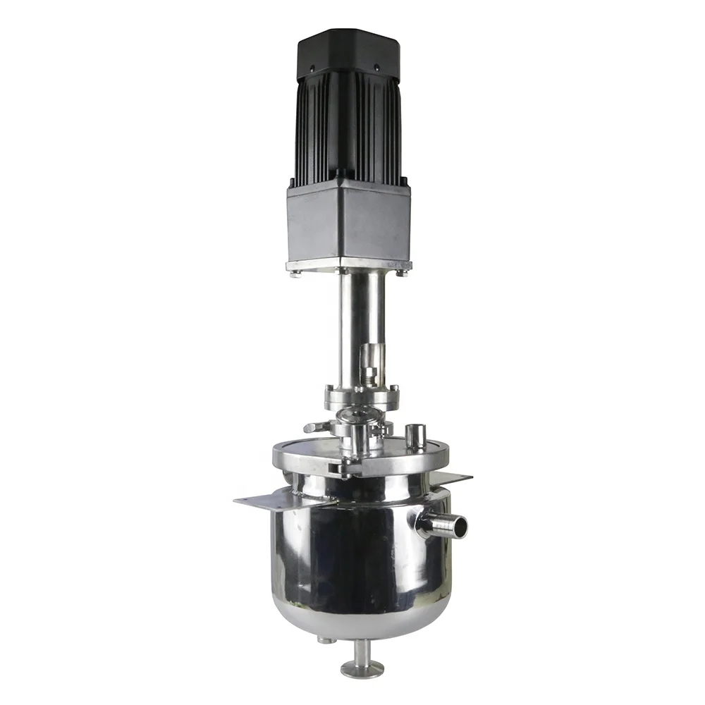 Stainless steel 304 316 3 liter small laboratory lab reactor with mixer