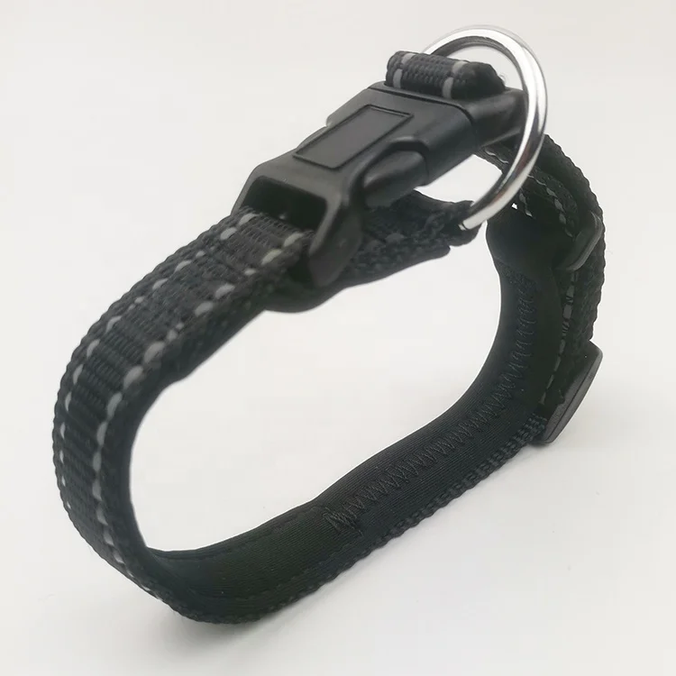nylon dog collar (2).jpg