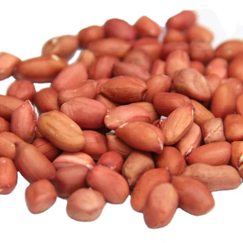 Chinese Red Skin Peanut Kernels