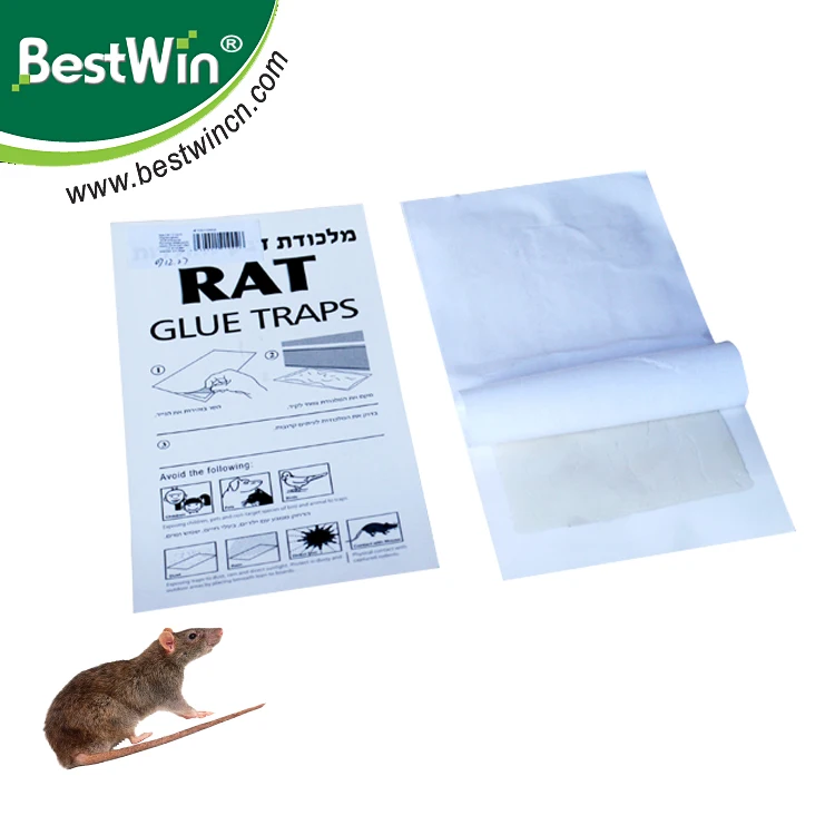 2021 new professional pest control factory strong viscous mouse glue trap