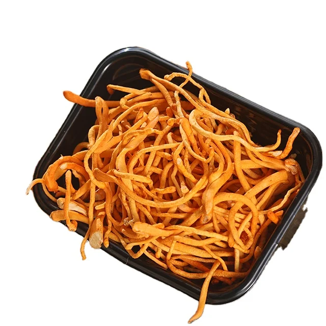 China finc agricultural  mushroom cultivation  fresh cordyceps militaris mushroom