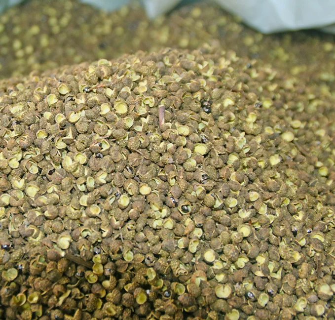 Chinese Spices Wholesale Green pepper Zanthoxylum Bungeanum Green Peppercorns