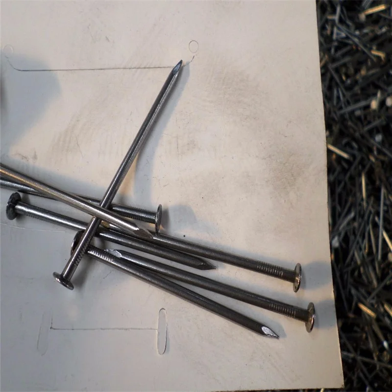 2 inch Common Nails Steel Nails 25kg per Carton Bulk Nails