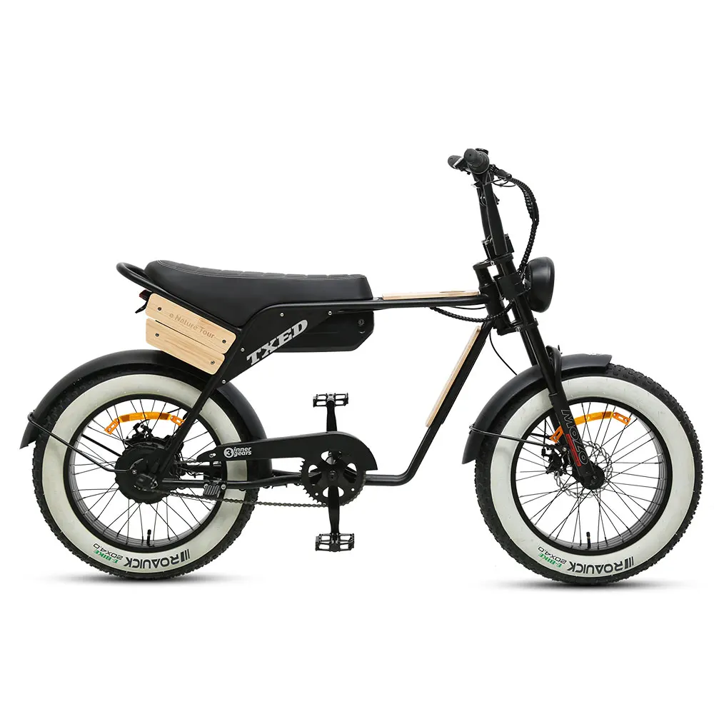 TXED 20 inch suspension 48V electric fat bicycle wooden decorate plate Motorcycle Style e Bike
