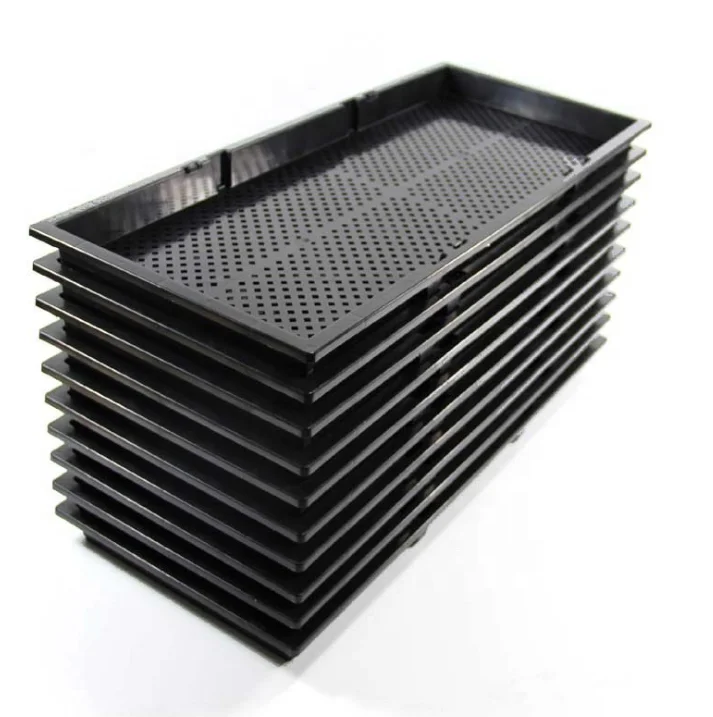 Microgreen лотков и шоу Экстра стренс с постепенным увеличением семян начиная 1020 завод прорастания подноса товара бедра на открытом воздухе комнаты Продукты питания праздник эко