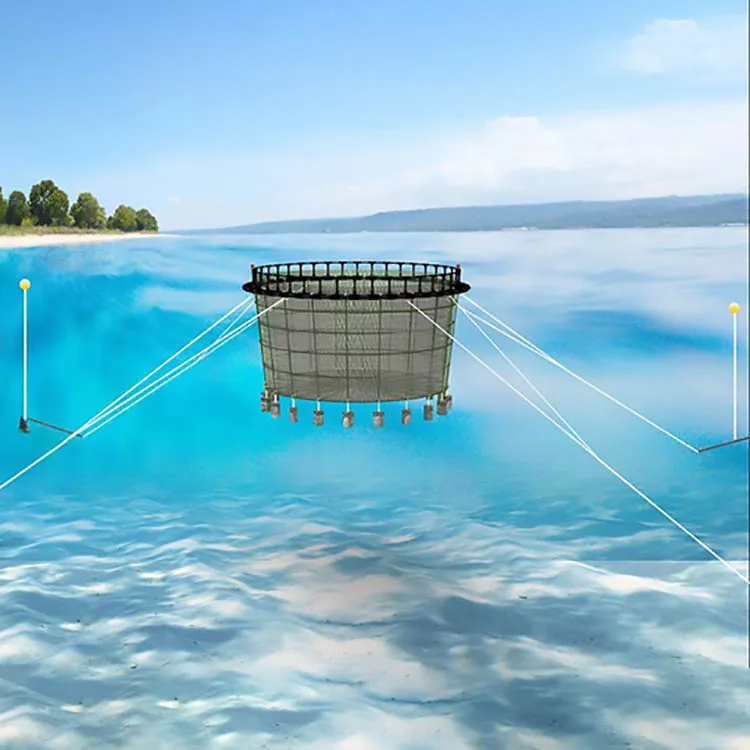  Tilapia HDPE круглая Складная Рыболовная Ловушка рыболовная