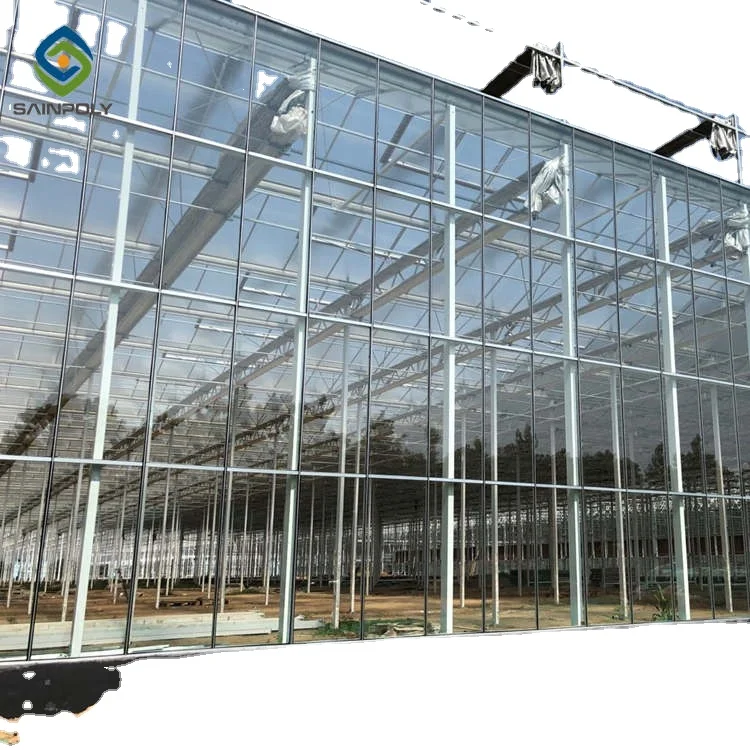 Sainpoly Large Size Glass Greenhouse High Quality Multi-Span with Steel Frame Low Cost for Agricultural Use