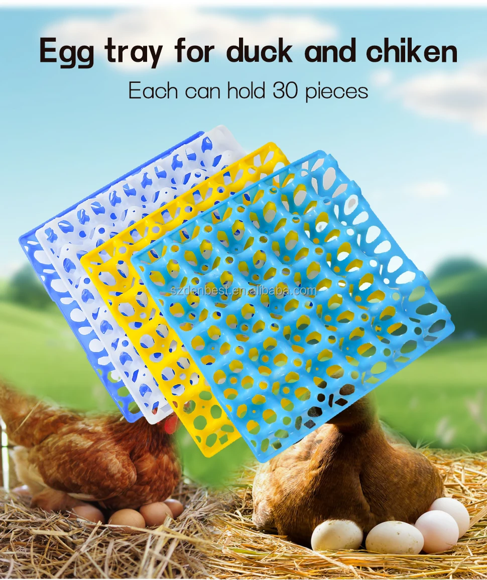 Egg tray-35.jpg