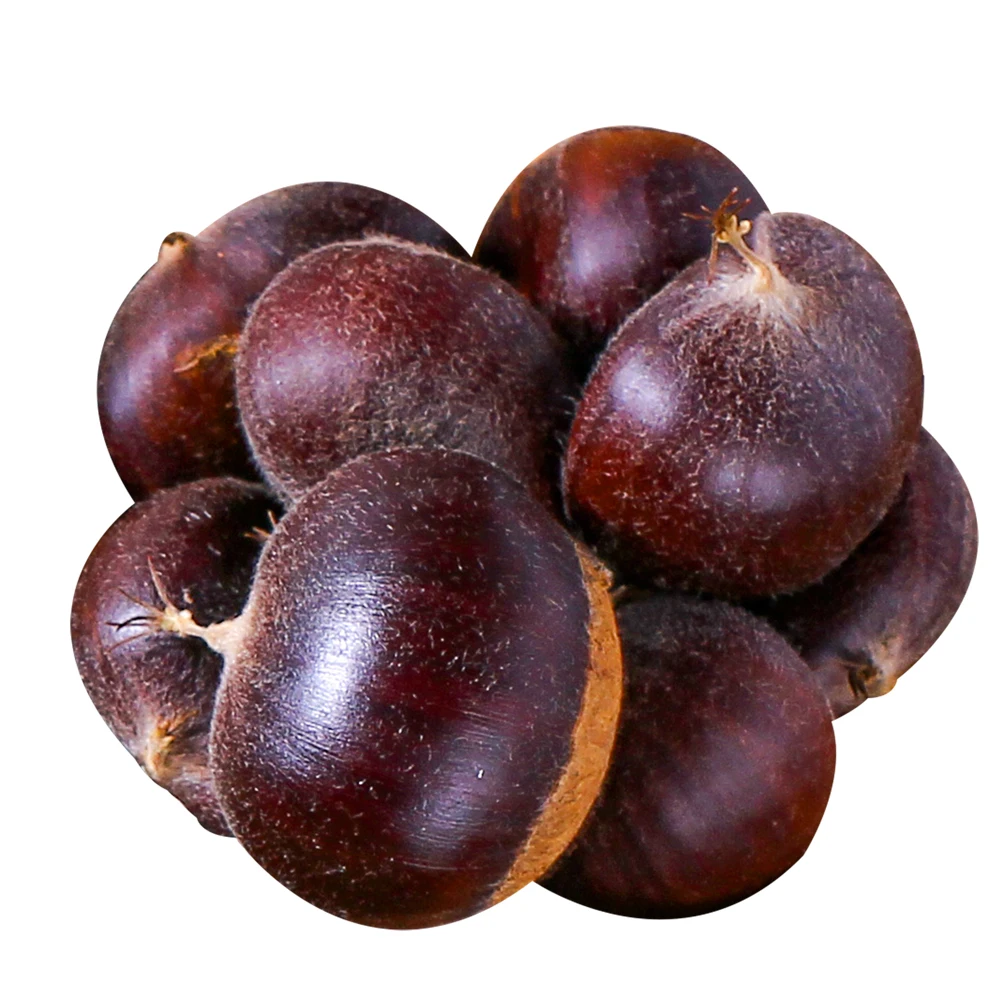 2022 яншань новый урожай Свежий каштановый 110-120