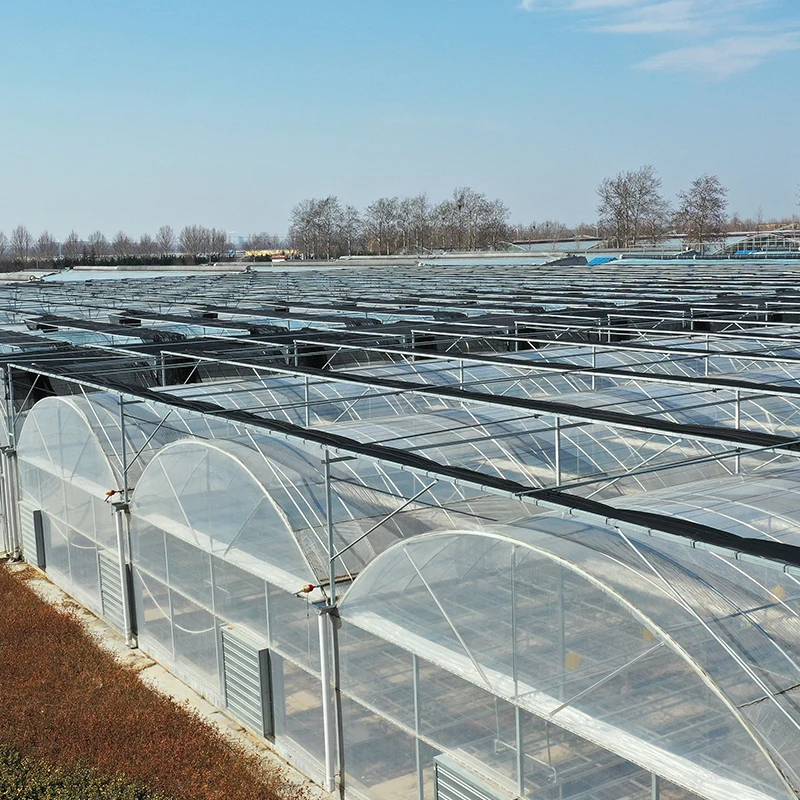 Top Quality Multi-span Agricultural Greenhouses Type and PE/PC Plastic Film Cover Material Greenhouse For Agriculture Product