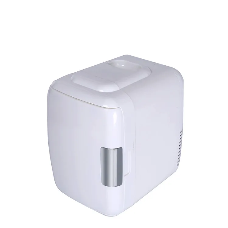 Orginally 4L DC 12V 220V attractive style customized color portable  refrigerator mini fridge