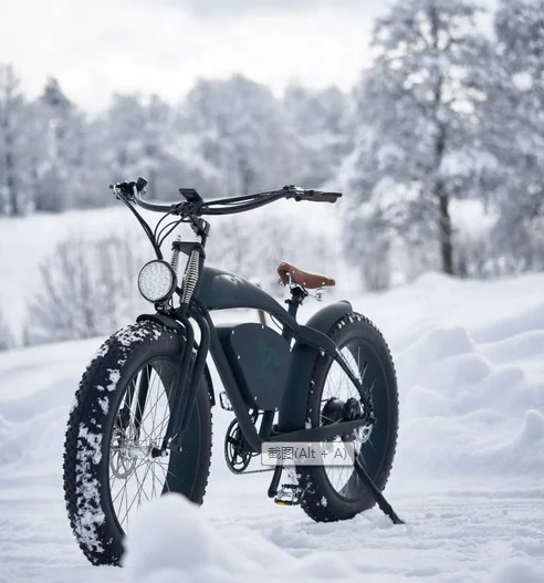 LOHAS Best Quality electric bike 26 inch fat tyre snow 48V battery lithium 500 vintage electric bike bicycle for sale