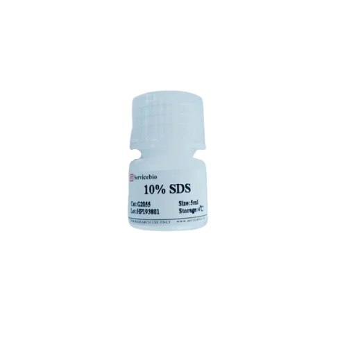 100ml 10% SDS Sodium Dodecyl Sulfate
