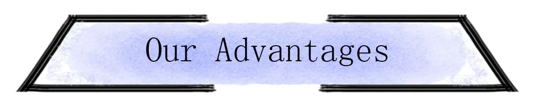 our advantages
