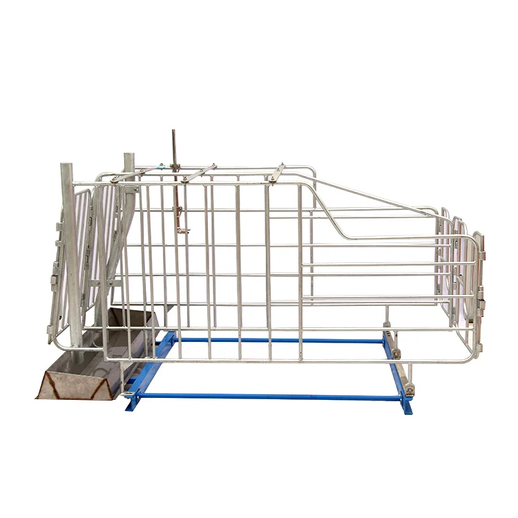 Manufacturer Supply Cheap Pig Pen Solid Rod Gestation Stall For Sale