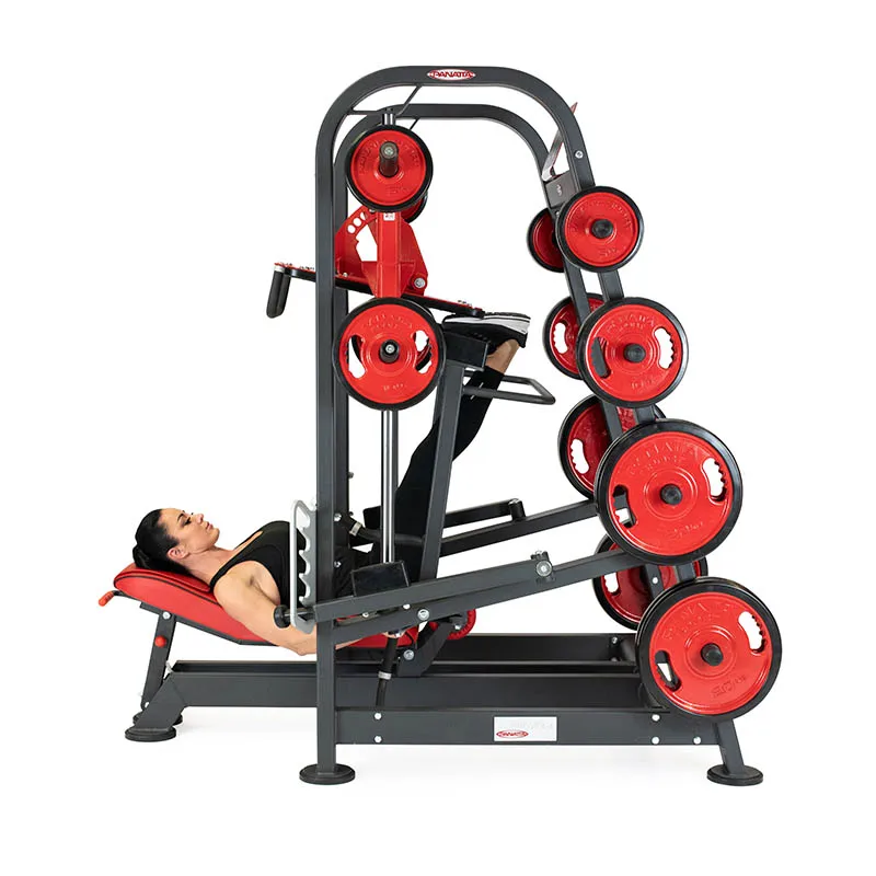 Fitness Equipment super vertical leg press from China factory (AXD-FL08)