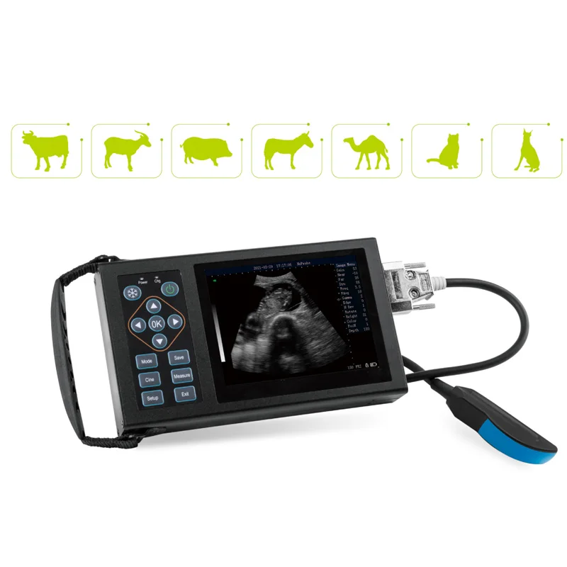 Портативная ультразвуковая система для собак