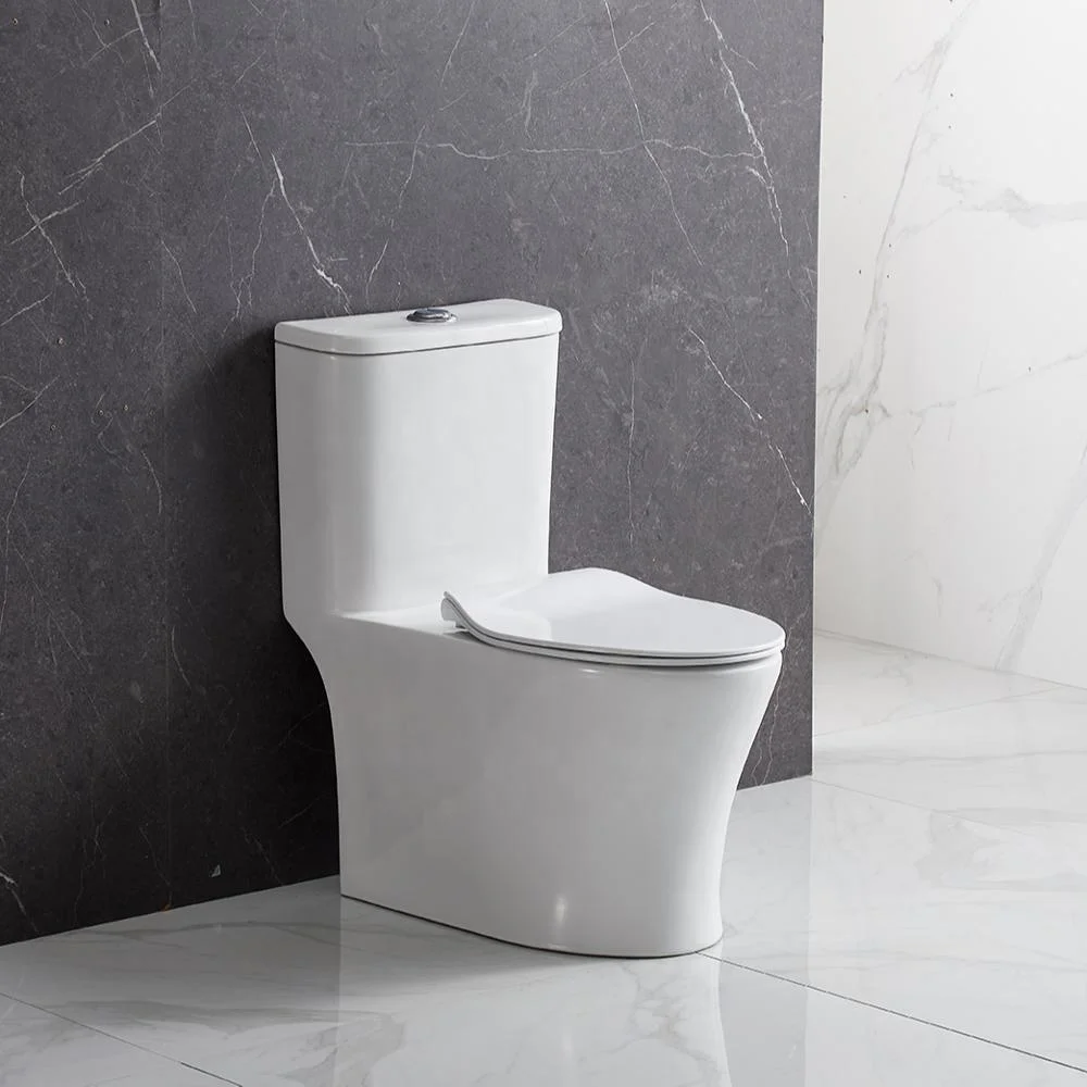 ANBI Recommended S-Trap One Piece Ceramic Toilet Water Closet Ceramic Toilet Bowl Toilet