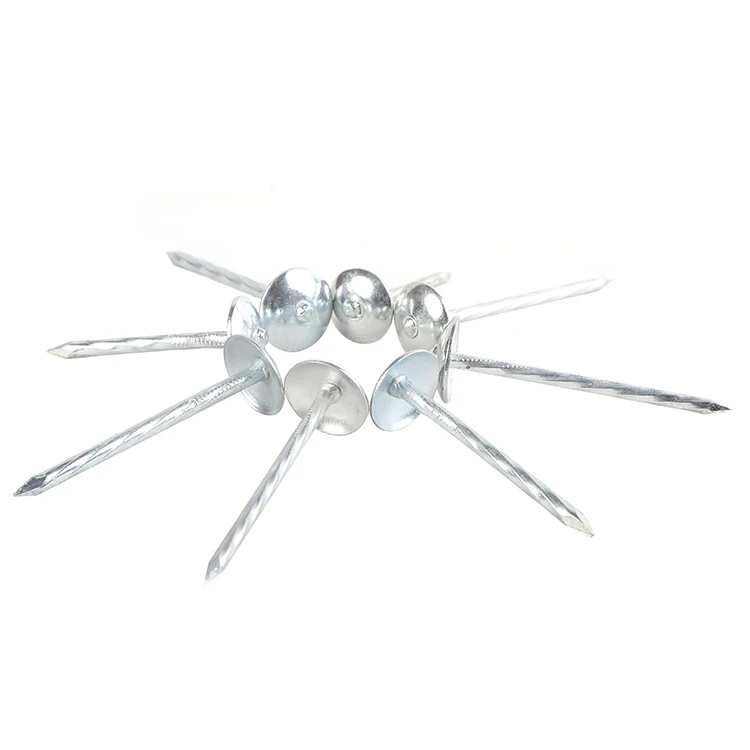 Type Roofing Nails Cheap Common Wire Nails China Nails