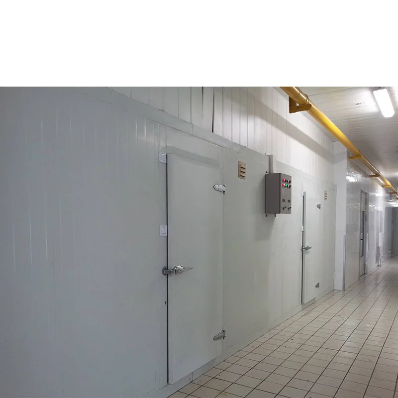 Walk in freezer cold storage refrigeration cold store machine cold room for fish storage