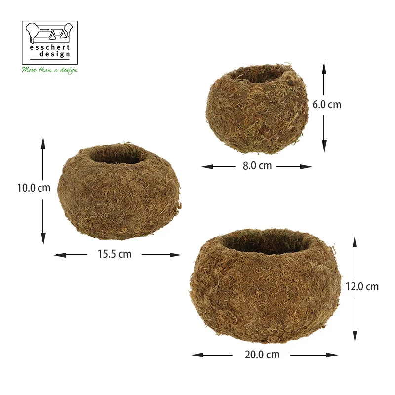 JP004 New Natural Color Moss Kokedama Ball Unique Small Flower Plant Pots for Indoor