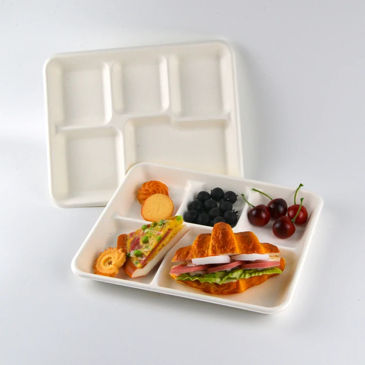 Bagasse 5 Division Tray 5 Compartments Sugarcane Plate 5 Compartment Biodegradable Lunch Tray