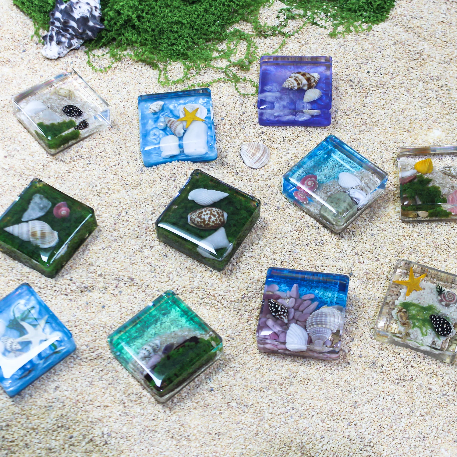 Factory crab specimens sea shells starfish sea animal paperweight resin crafts new design preserved taxidermy tourist souvenir