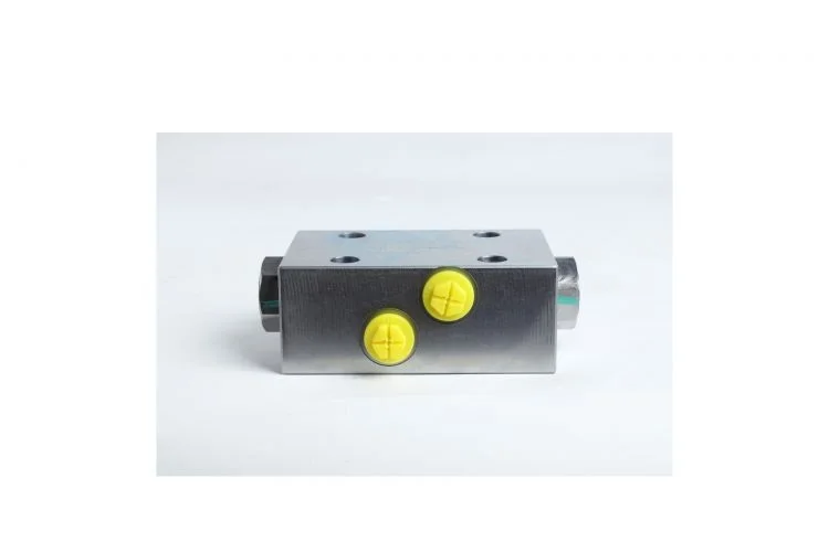 Low Pressure Two-way Hydraulic Lock cylinder pressure holding safety valve crane plate with Cheap Price for sale