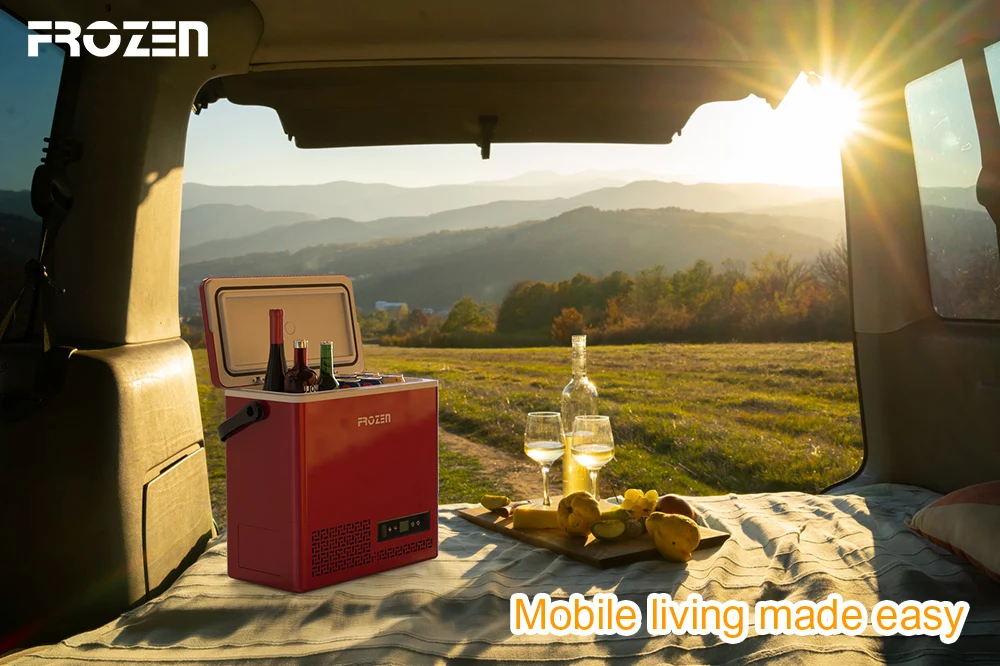 12 Volt Refrigerator Car Portable Refrigerator Single Zone Dual System Electric Cooler Fridge Camping Freezer