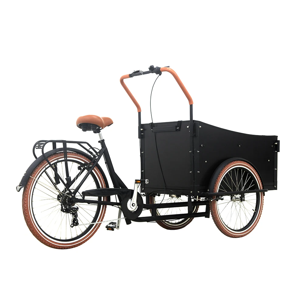 New style three wheeled cargo bikes 7 speed derailleur three wheeled ebike