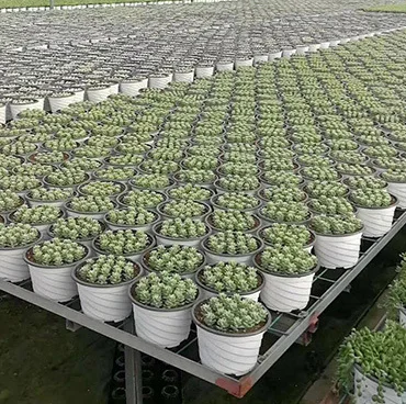 2023 potato grow bags planting gallon bag outdoor garden felt grow bags pots garden potato felt fabric plant